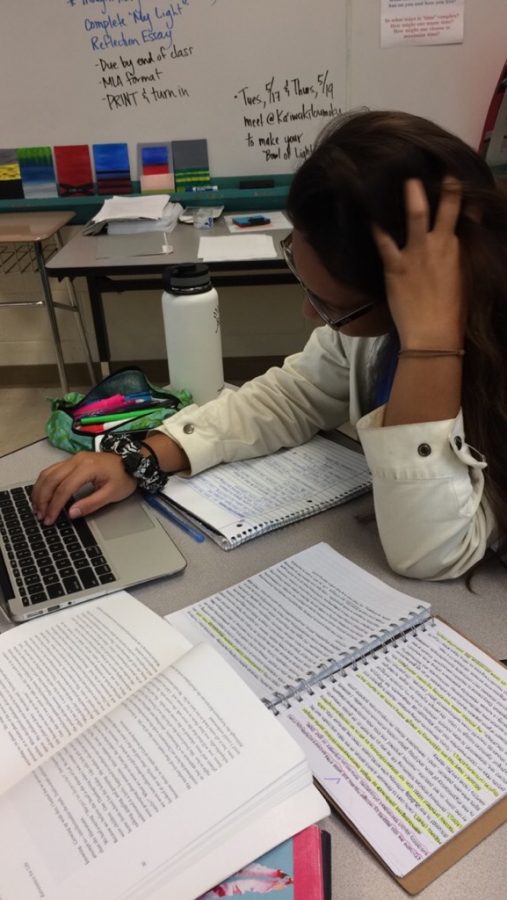 A struggling junior prepares for an upcoming AP exam.