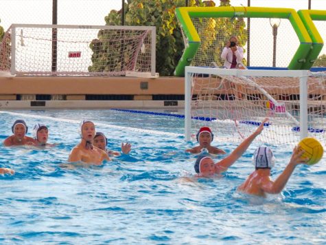 Boys Water Polo Season Starts On A High Note