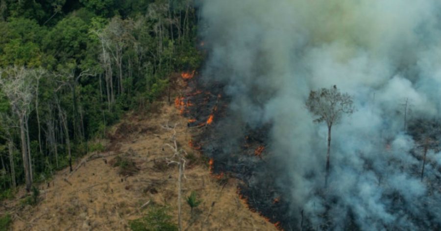 Aerial view of the fires that sweep across the Amazon Rainforest