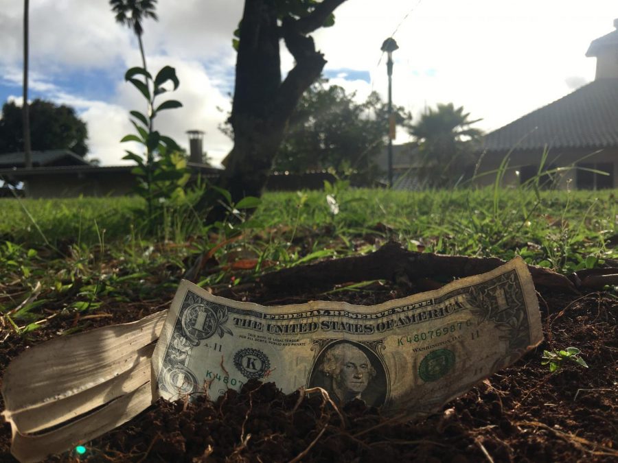 One dollar equals one tree #teamtree