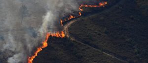 Over the past century, climate change is becoming more and more noticeable from more wildfires to mega storms. How can we stop this?