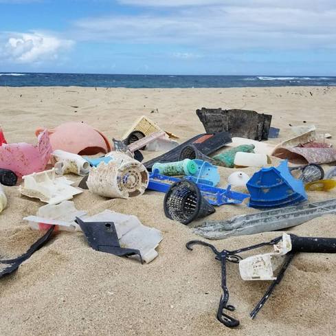 A beach clean-up is one of multiple environment-friendly project ideas junior AP English students can chose from.