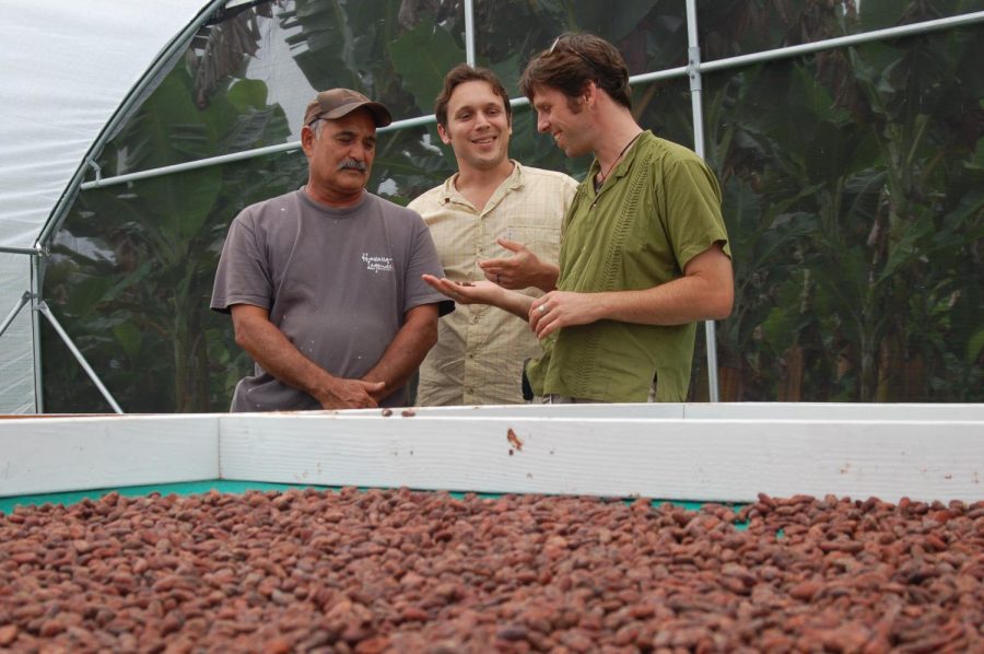 The co-founders of local company Madre Chocolate Dave Elliott (middle) and Nat Bletter (right) observe the dried cacao beans.