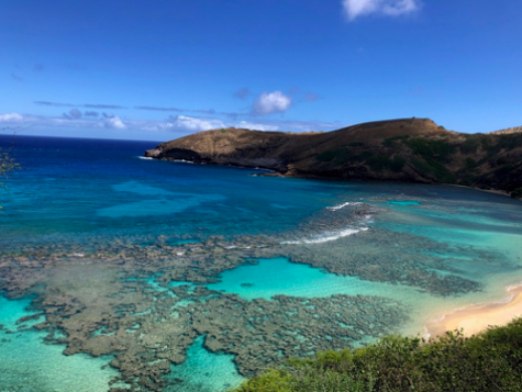 An empty Hanauma Bay during the COVID-19 pandemic.
