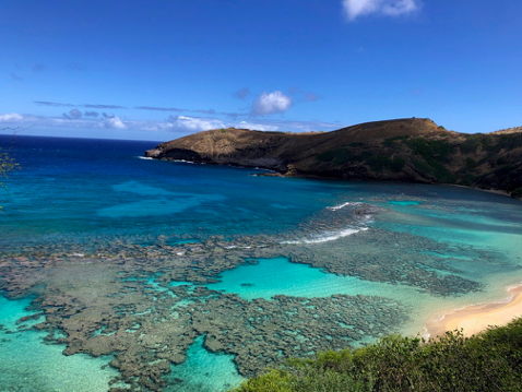 An empty Hanauma Bay during the COVID-19 pandemic.