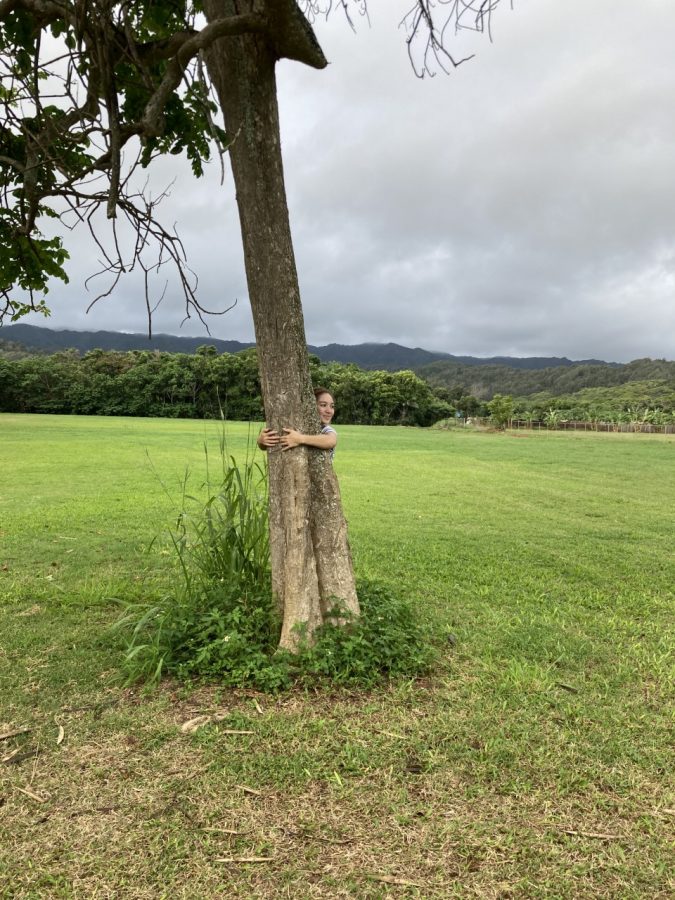 Take some time to breathe deeply and hug a tree. 