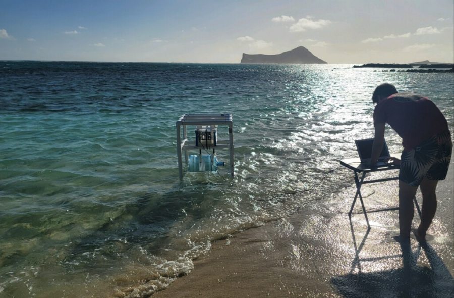 Senior Landon Choy uses his project at the beach.