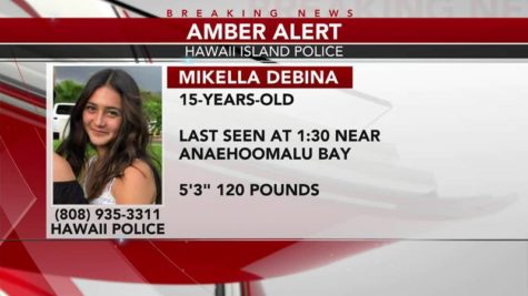 Local Abduction Calls Attention to AMBER Alert Program