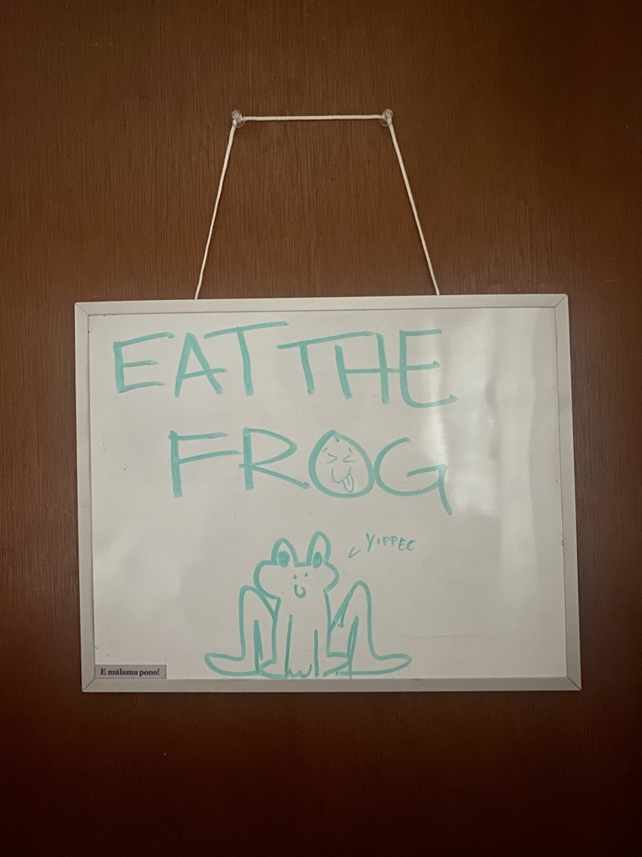 Eat+The+Frog%21+A+Procrastinators+Guide+to+Procrastination